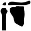 Icons8 anatomy 64